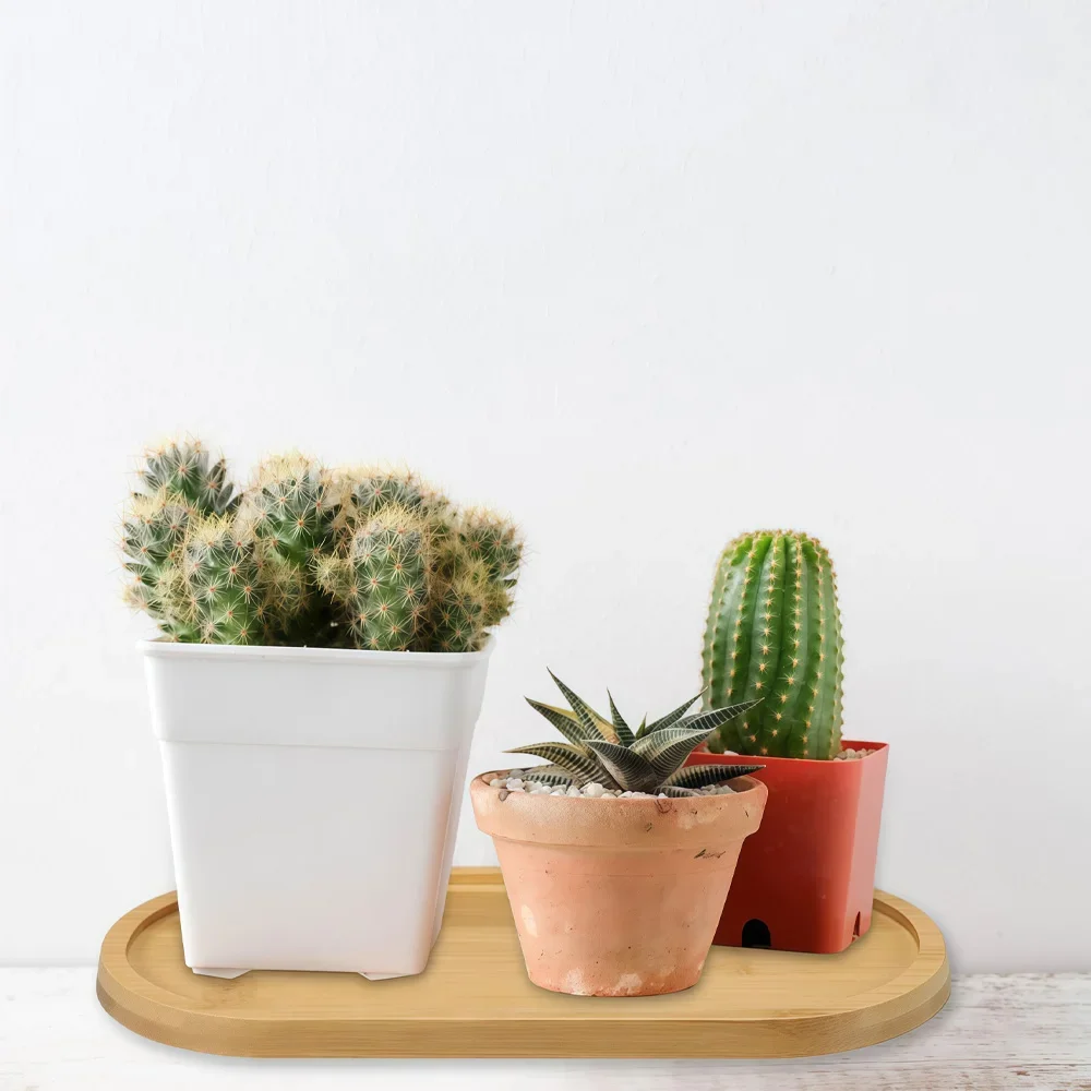 Multi Bamboo Tray Wood Saucer Flower Pot Tray Cup Pad Coaster Plate for Kitchen Decorative Plate Creative Coaster Coffee