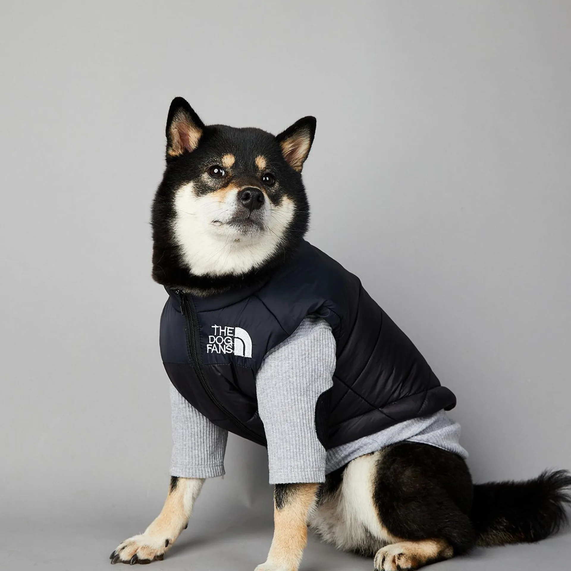 Hond Gezicht Punch Grote Honden Winter Warme Regenjas Anti Huisdier Katoenen Kleding Winddichte Regenbestendige Hondenjas