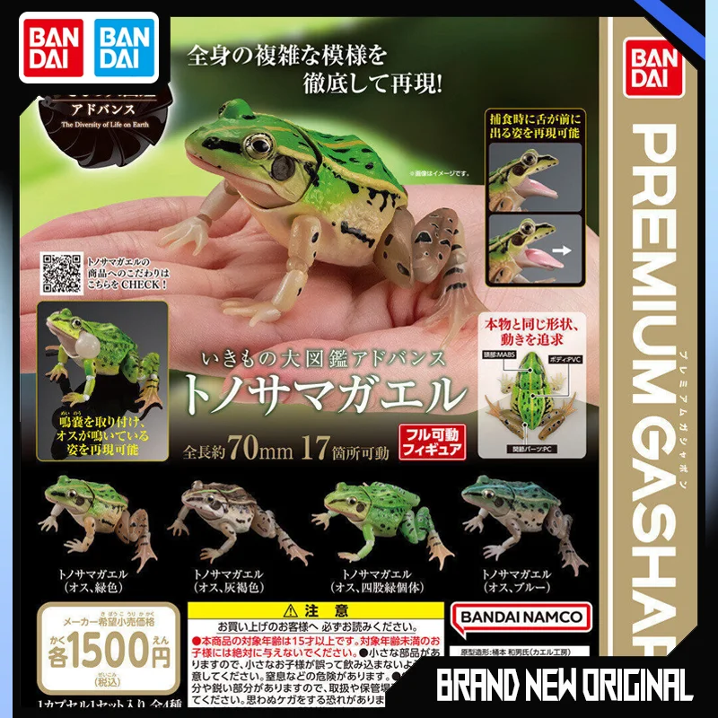 BANDA Biological Encyclopedia Figures Model Black spotted side folded frog frog Simulated animals Gashapon Original toys