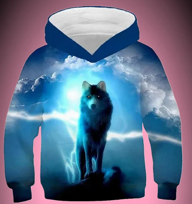 

25/26Street Style Large Size Hoodie Sweatshirt Couple Matching Digital Print Casual Loose Fit Men's Clothing From Mainland China
