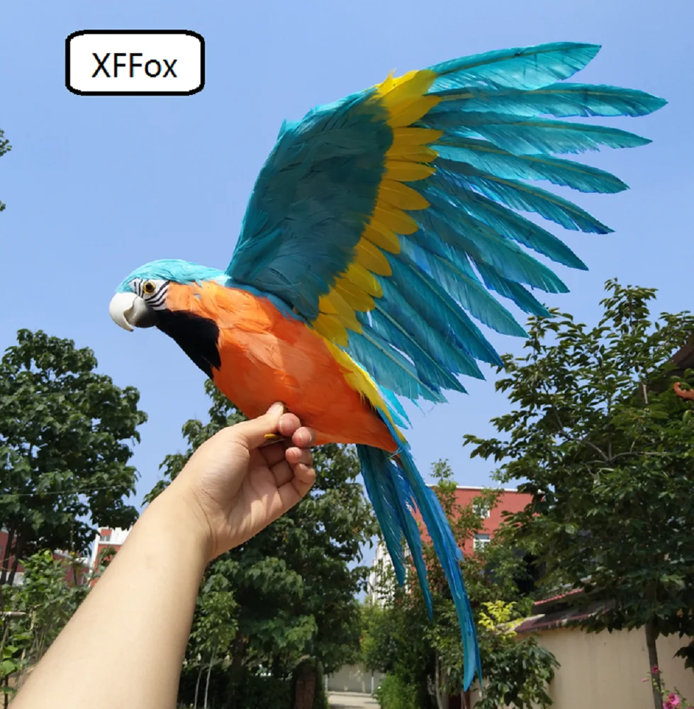 

big real life blue&orange wings parrot model foam&feather simulation parrot bird gift about 45x60cm xf0268