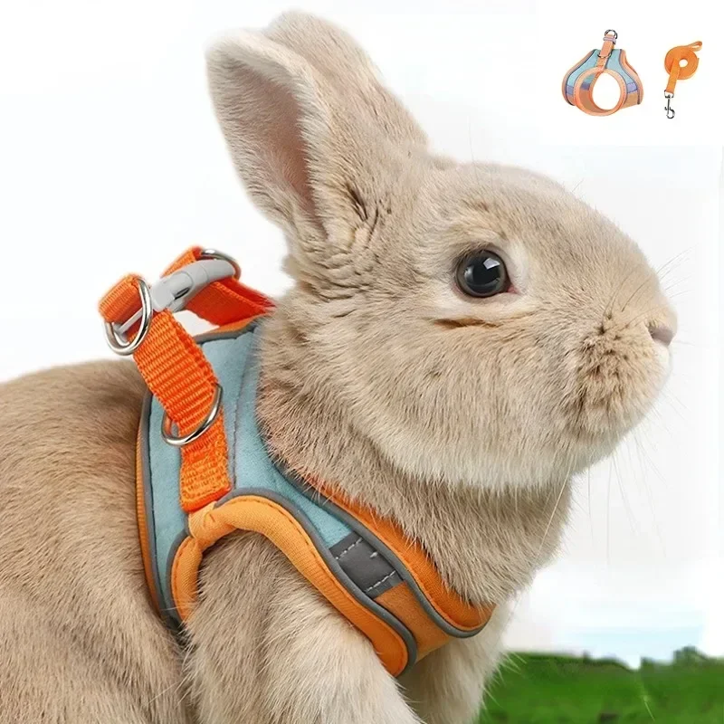 

Rabbit Cat Walking Harness and Leash Set Double Buckle pet Collar Cat Leash Rabbit Vest Suitable for Small Pet Cat Accessories