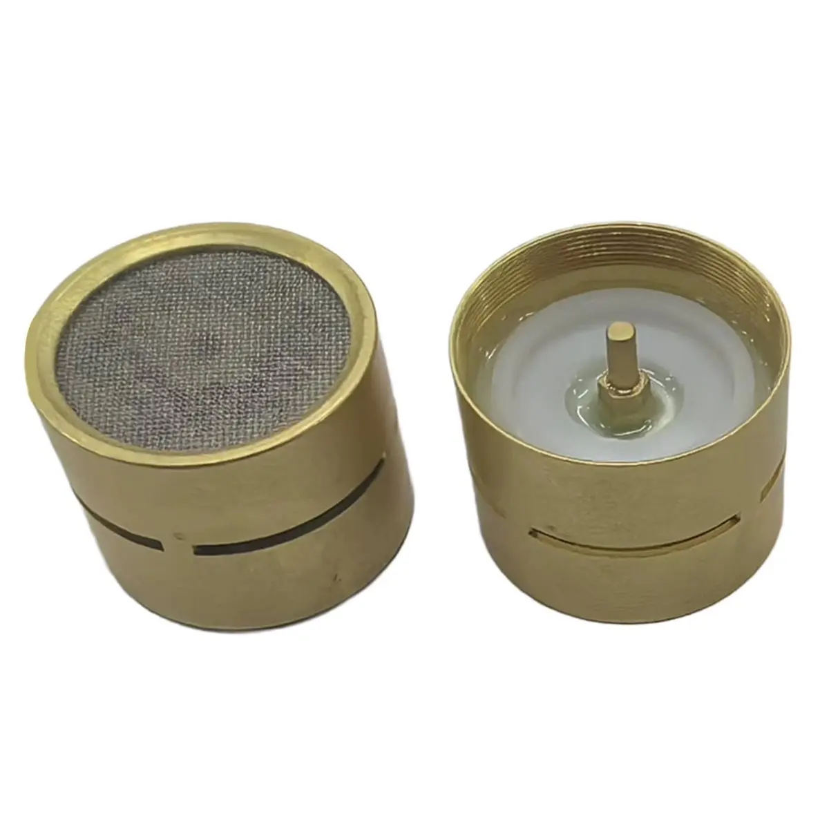 DT75BG Condenser Mic Capsule Supercardioid Microphone Audio Devices 22mm Diaphragm DC Bias Instrument Microphone Capsule
