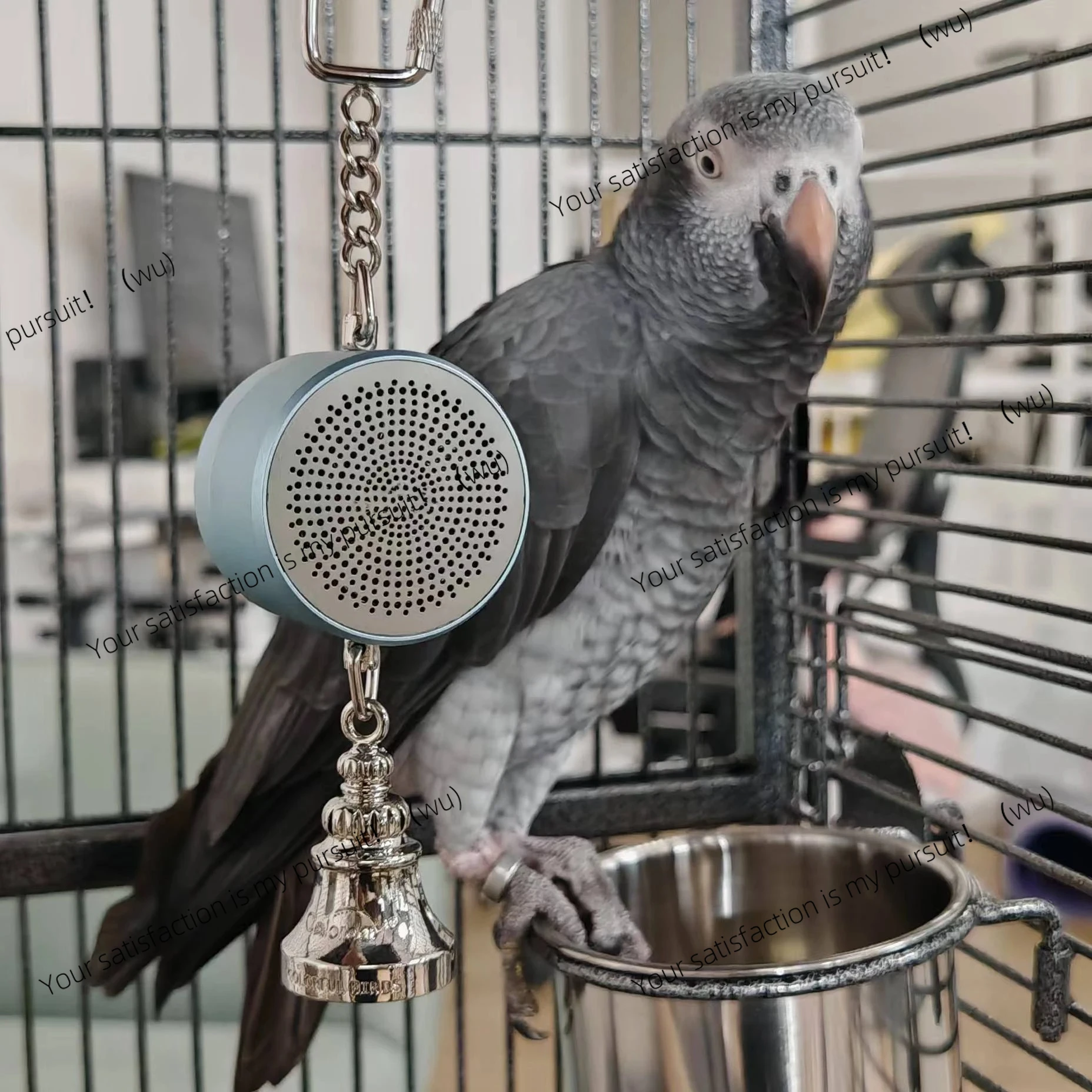 

Parrot Toys to Teaching Training Bird Talking Coach Interactive Recording Playback Retell Electronic Voice Chewing Tearing Bell
