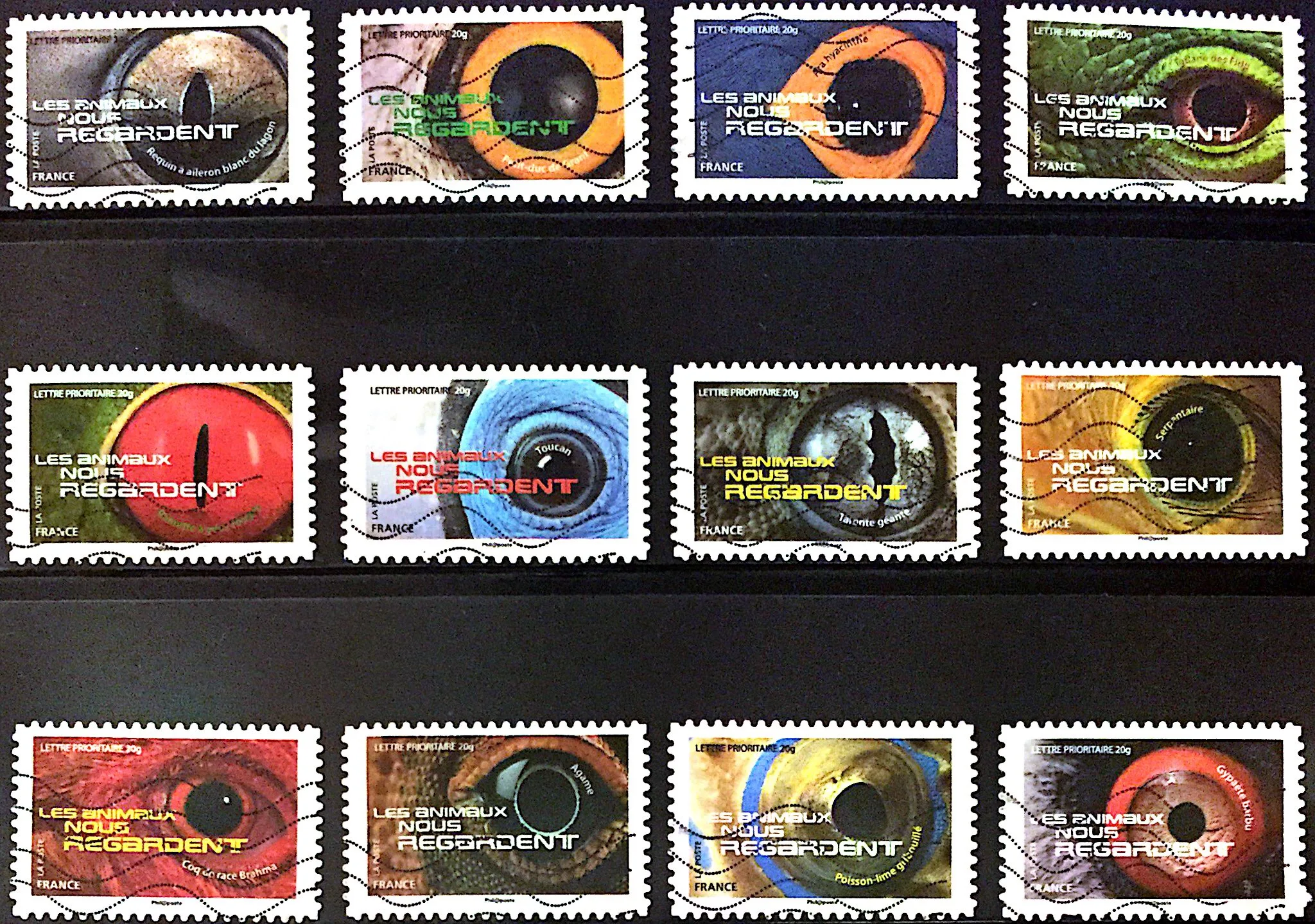 طوابع بريدية فرنسا بعد سنة 2015 مجموعة كاملة من عيون الحيوانات مستعملة حقيقية 12 طوابع بريدية قابلة للجمع مادة لسكرابوكينغ