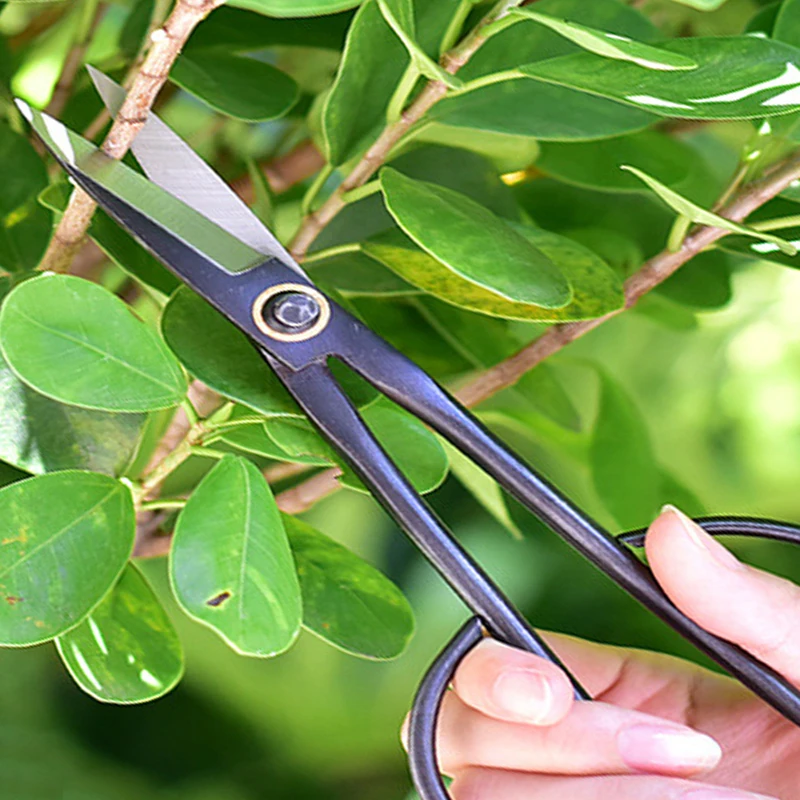 20cm Home Gardening Long-handled Branch Cut Sapling Handle Scissors Bonsai Scissors Tool Beginner Bonsai Branch ​Shears Tool