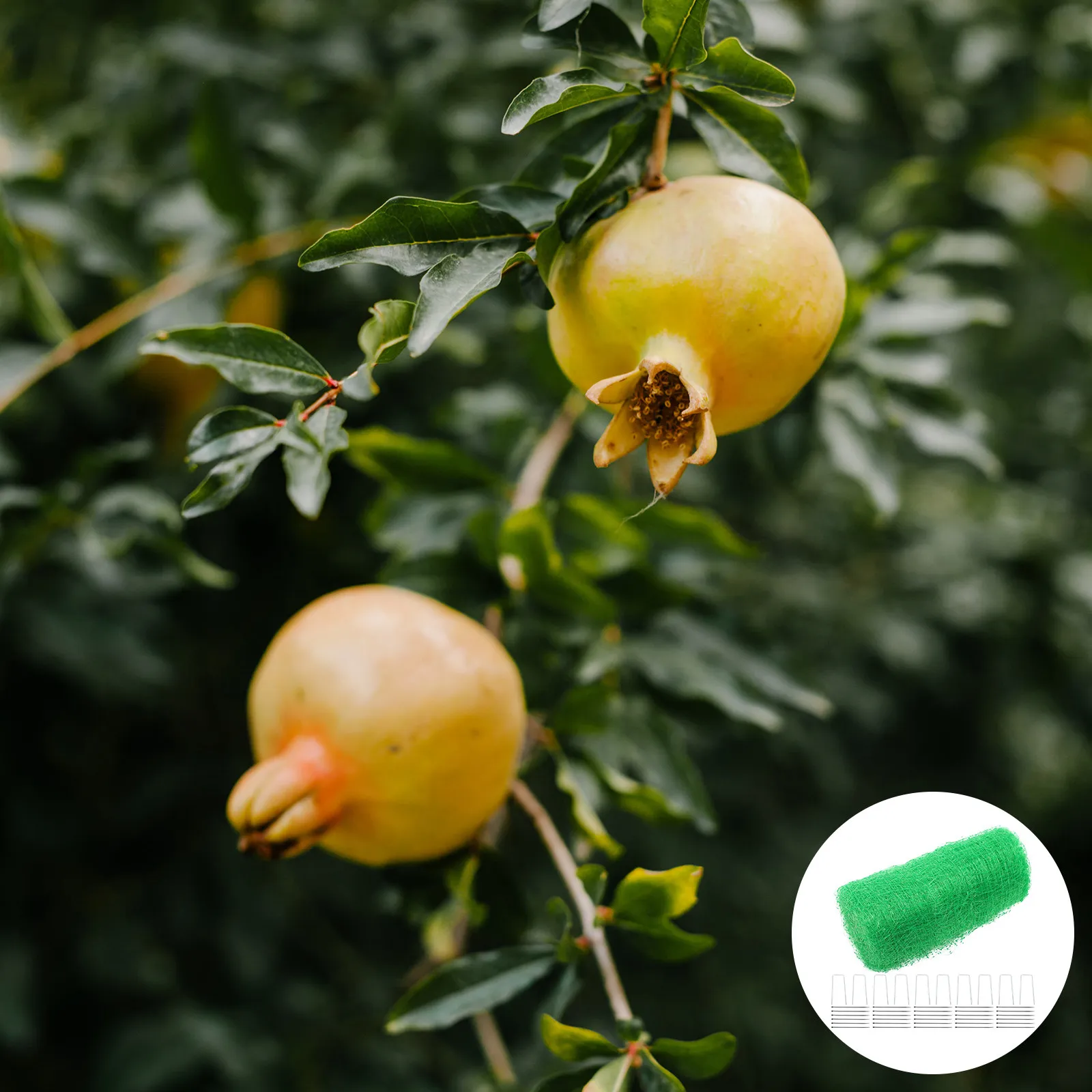 

Набор садовых сеток из полипропилена, сверхпрочные, для защиты растений, овощей, фруктов от птиц, оленей и насекомых, многоразовые, с возможностью нарезки