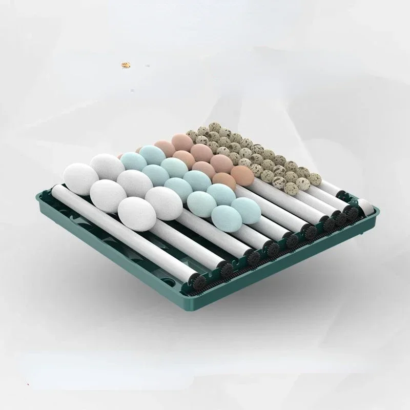 

Полностью автоматический инкубатор, бытовой инкубатор для курицы, утки, гуся, голубя, птиц, небольшой инкубатор, инкубатор B