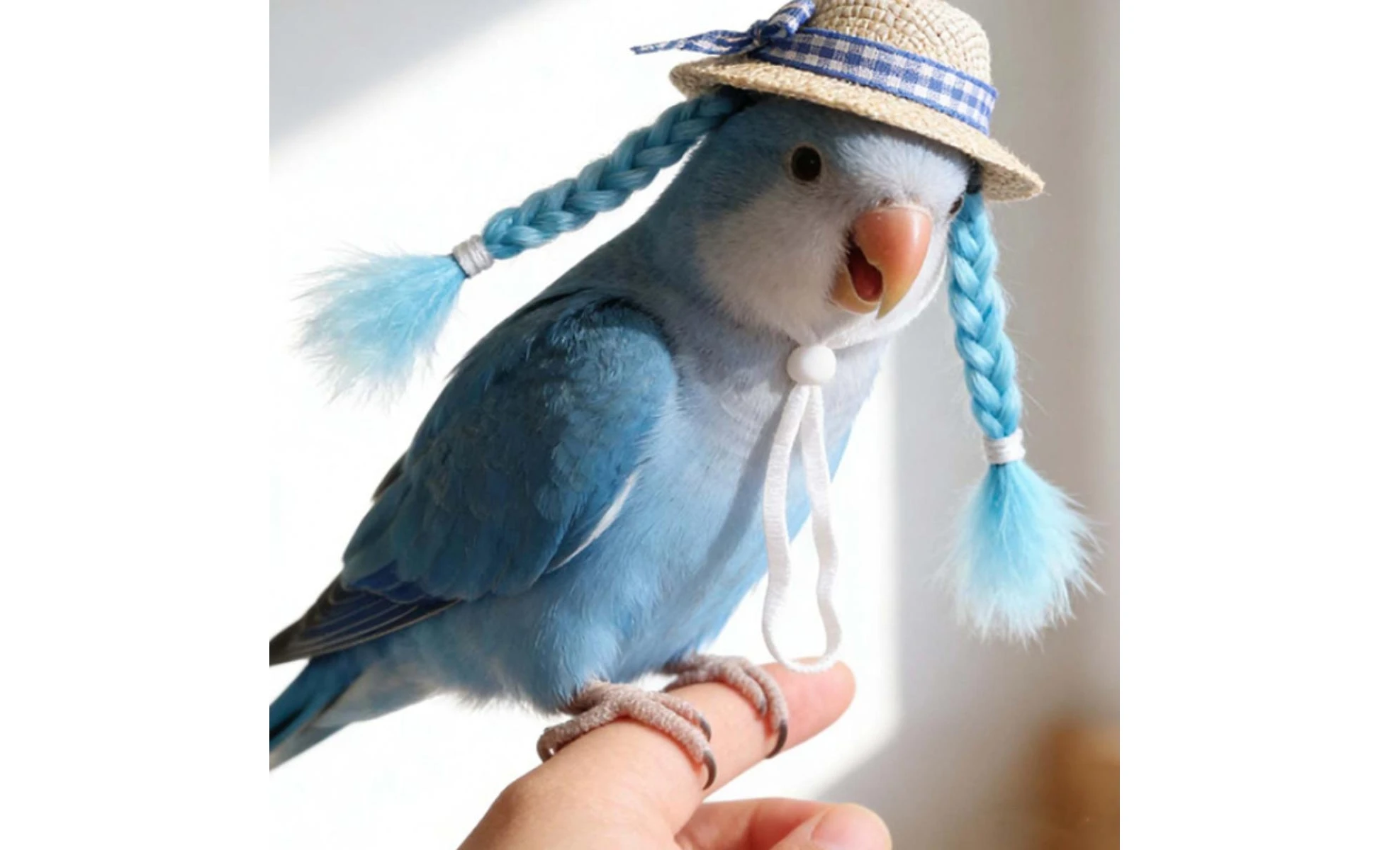 Small Pet Hat Chin Strap Plaid Ribbon Straw Hat Pet Costume Decorative Bead Accent for Birds