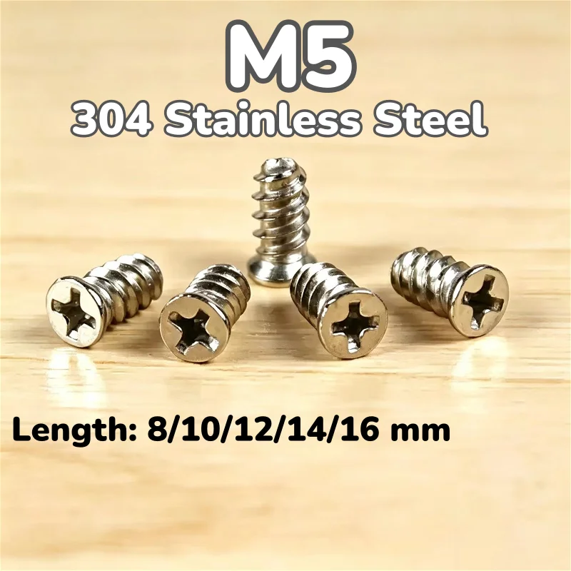 M5 304 Stainless Steel Computer PC Case Cooling Fan Mount Screw Small Head Flat-Head Phillips Heat Dissipation Screws Fixer