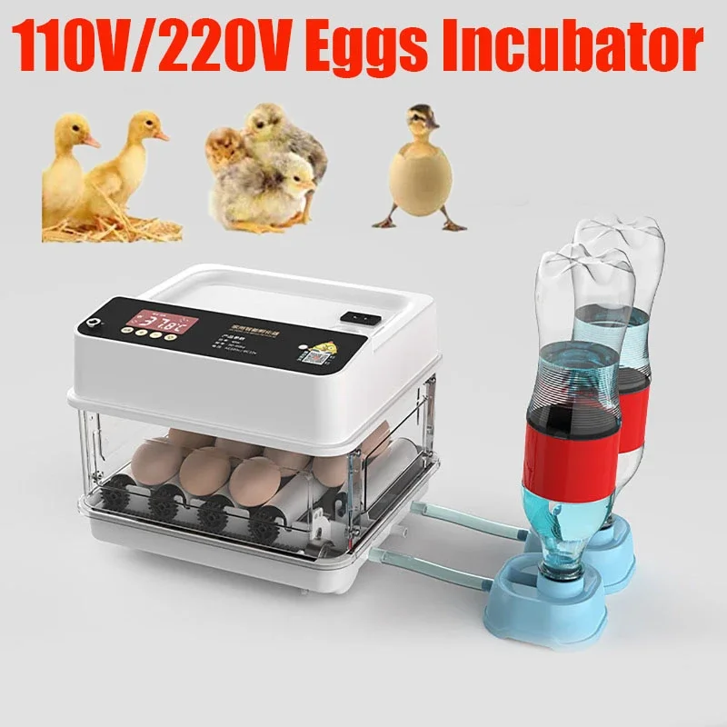 110V/220V Eggs Incubator Brooder Automatic Farm Incubation Tools Bird Quail Chick Hatchery Poultry Hatcher Turner 10/12Pcs