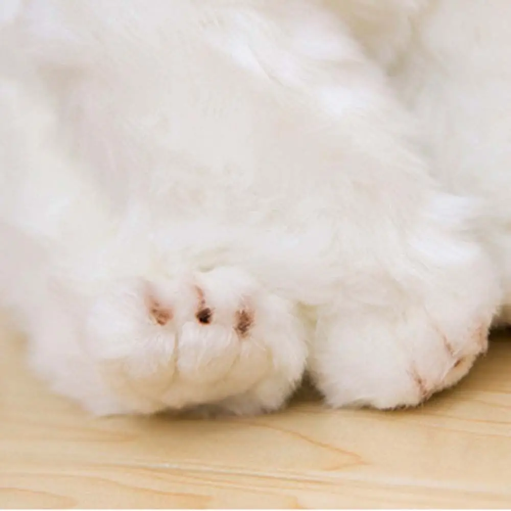 

Stuffed Animal Maltese Stuffed Dog Pets Fluffy Simulation Maltese Plush Toy Home Decoration Kawaii Puppy Dog Plush Baby Kids