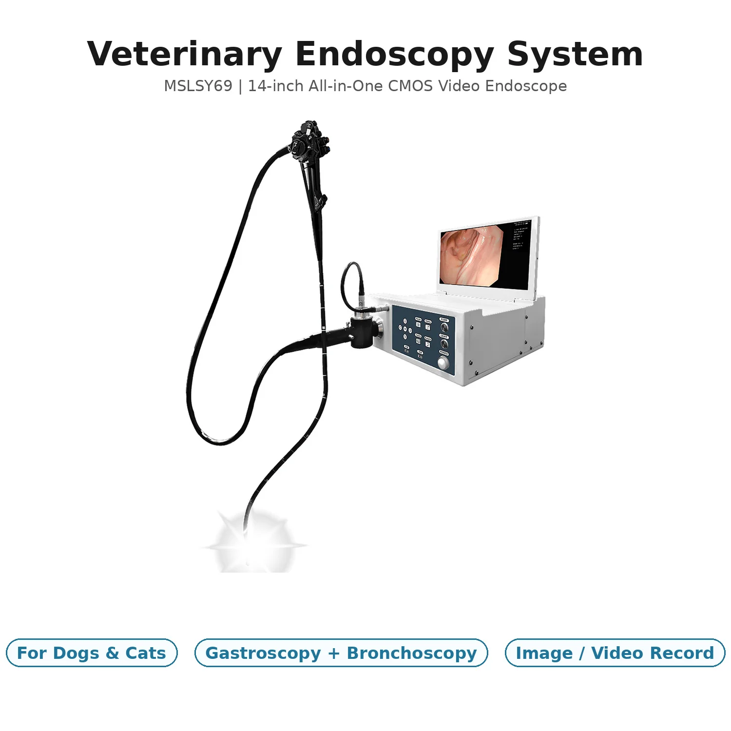 Veterinary Endoscopy System 14-inch integrated CMOS video gastroscope bronchoscope for dogs and cats