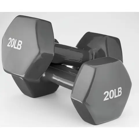 Set di manubri esagonali viola da 20 libbre: impugnatura antiscivolo, design antirotolamento per l'allenamento della forza in palestra a casa