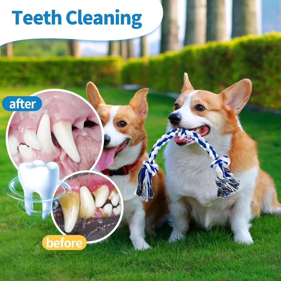 [Confezione da 2] Giocattoli in corda per cani Giocattolo da masticare per cani di taglia media e piccola 3 nodi Giocattolo in corda per cuccioli resistente 100% cotone Giocattoli per cani da rimorchiatore di guerra