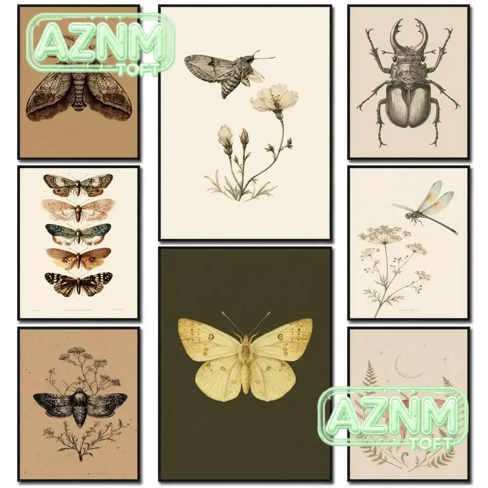 Vintage Insects Moth Butterfly Beetle Botanical Sketch Poster PP Wall Art Print Removable Home Decor Cafe Apartment Gift
