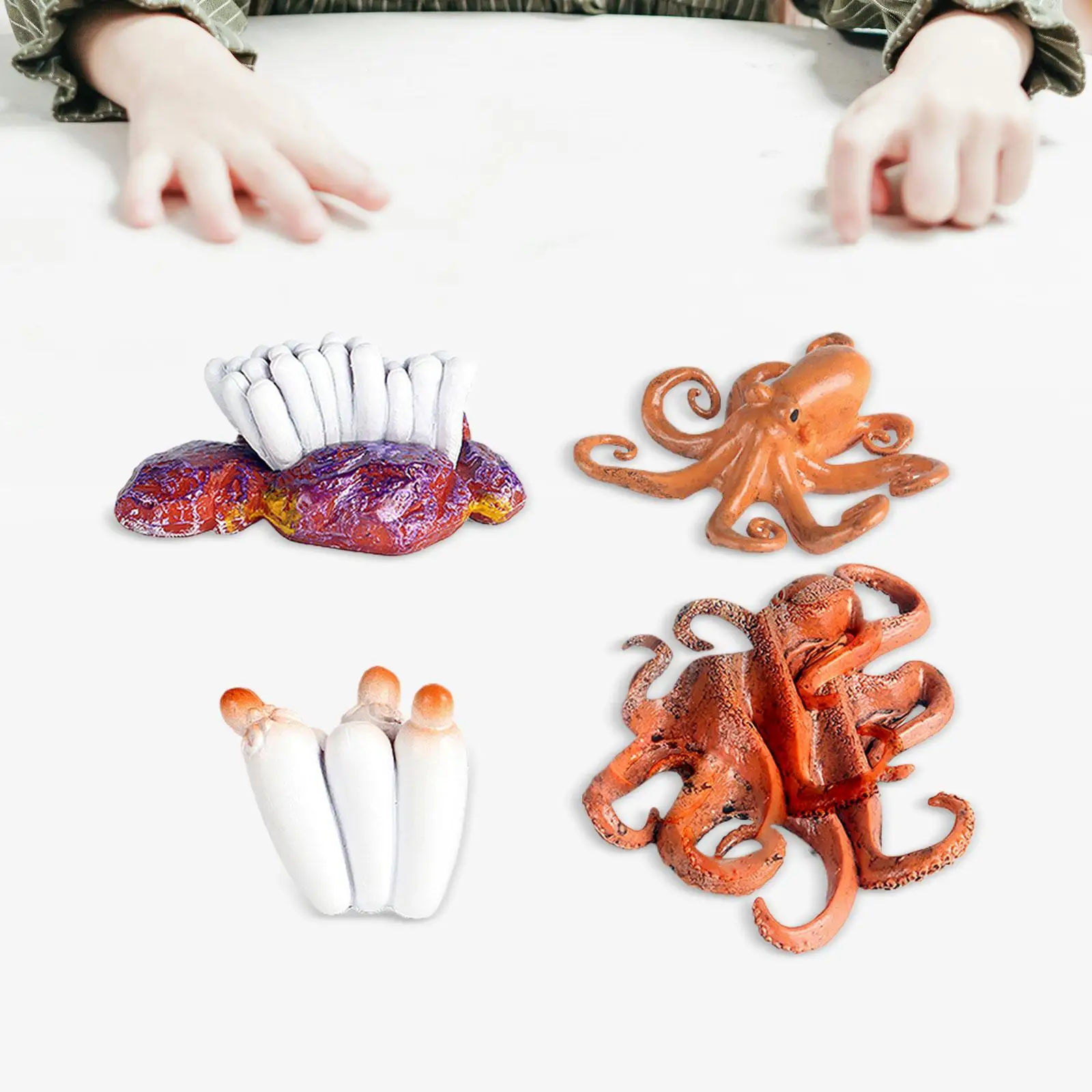 Octopus Groeicyclus Set Cognitieve Kleuterschool Voor Kinderen Peuters Van 3 +