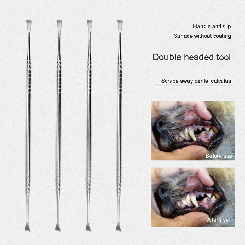 Tartar Removal Tool for Dogs Pointed Scraper for Removing Tartar Pet Teeth Cleaning 1Pc