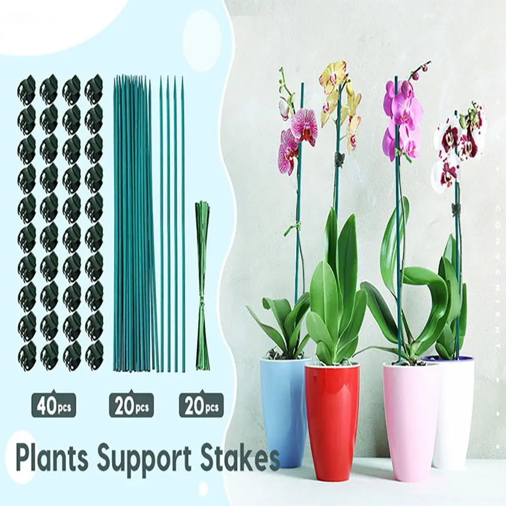 

Indoor Plant Grow Upright Stems Supports Garden Clips Plant Stakes Orchid Clips Vine Clips