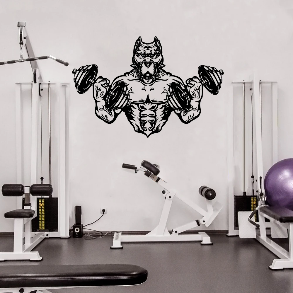 Pitbull Body Builder Gym Wall Sticker Decal Wild Dog  Strong Build Animal  Muscle Man Gym Fitness Crossfit  Decor