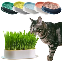 Pet Cat Grass Growing Tray Reusable Hydroponic Cat Grass Box Hydroponic Soilless Planting Cat Grass Pot for Easy Growth