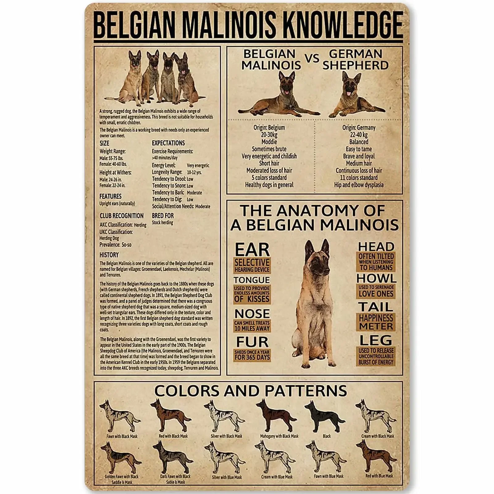 Belgian Malinois Knowledge Metal Tin Sign Animal Unplaning Poster Retro School Infographics Farm Home Kitchen Wall Decoration