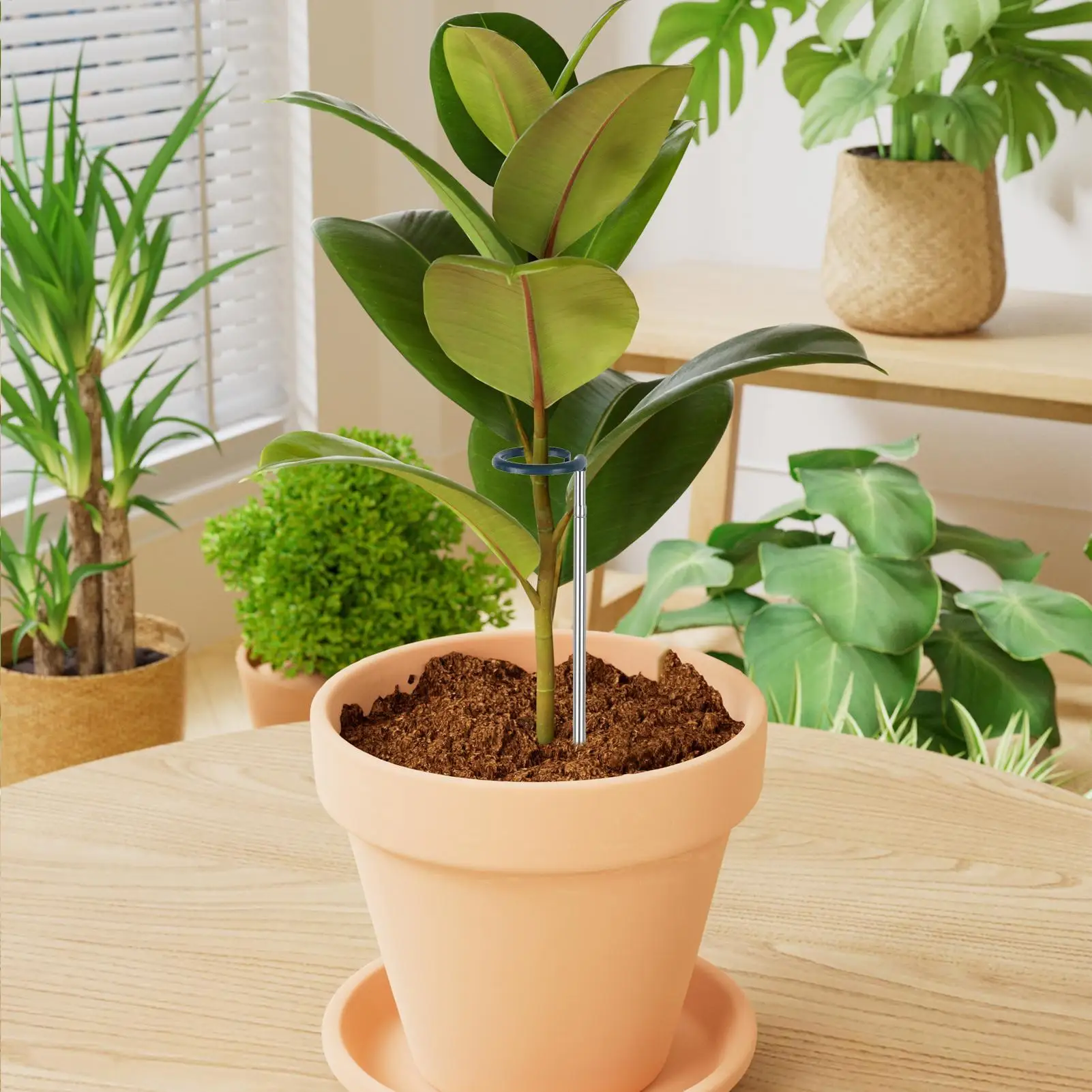 

Plant Stakes Extendable Plant Stakes 4 Pieces Weather Resistant Indoor Outdoor Gardening Accessories For Flowers Monstera Vine