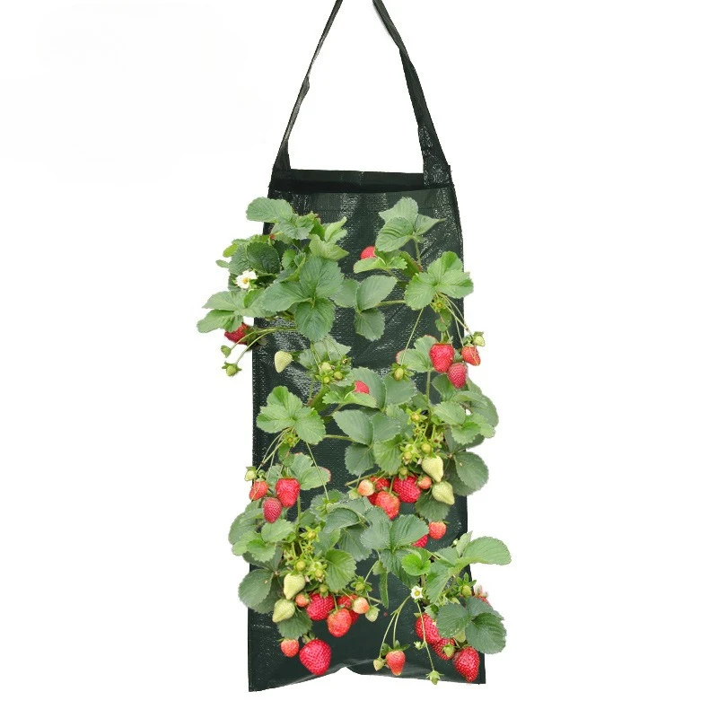 

PE Hanging Strawberry Planting Bag Plant Bag Hanging Growth Bag