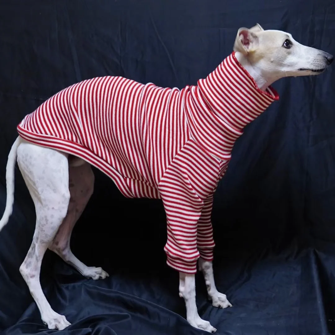 

High-neck Classical Red Striped Sweatshirt for Italian Greyhound Spring Long Sleeves Soft Warm Coat for Whippet Dogs in Autumn