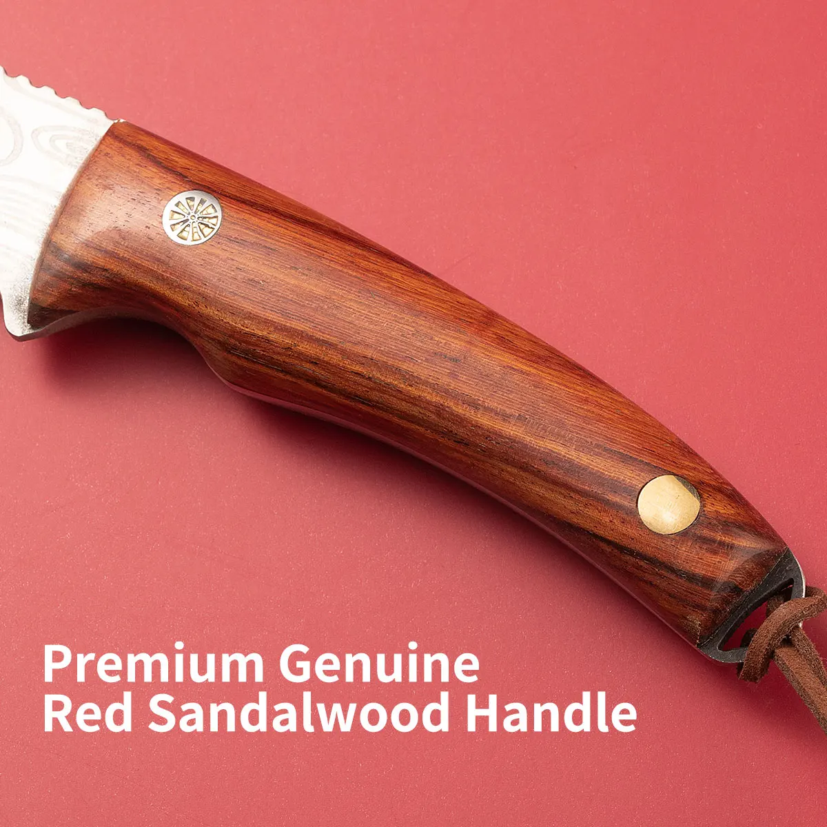 Multifunctional Grafting Knife｜Stainless Steel for Bark/Bud Grafting｜Fruit Tree Handmade Gardening Tool