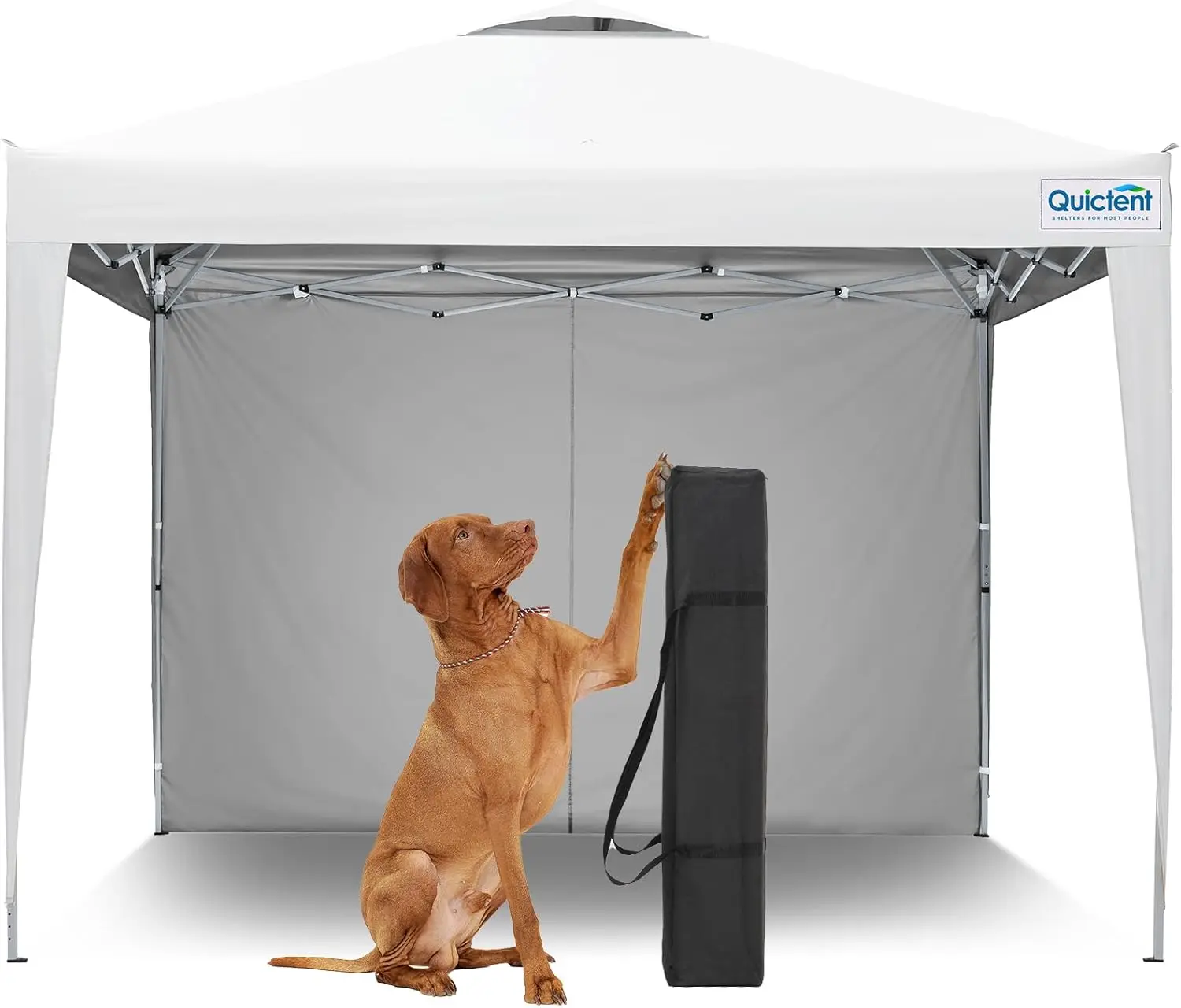 

10x10 Pop Up Canopy Tent with 1 Sidewall, Instant Setup Gazebo for 1 Person, Portable & Compact, Waterproof & UV Protection,
