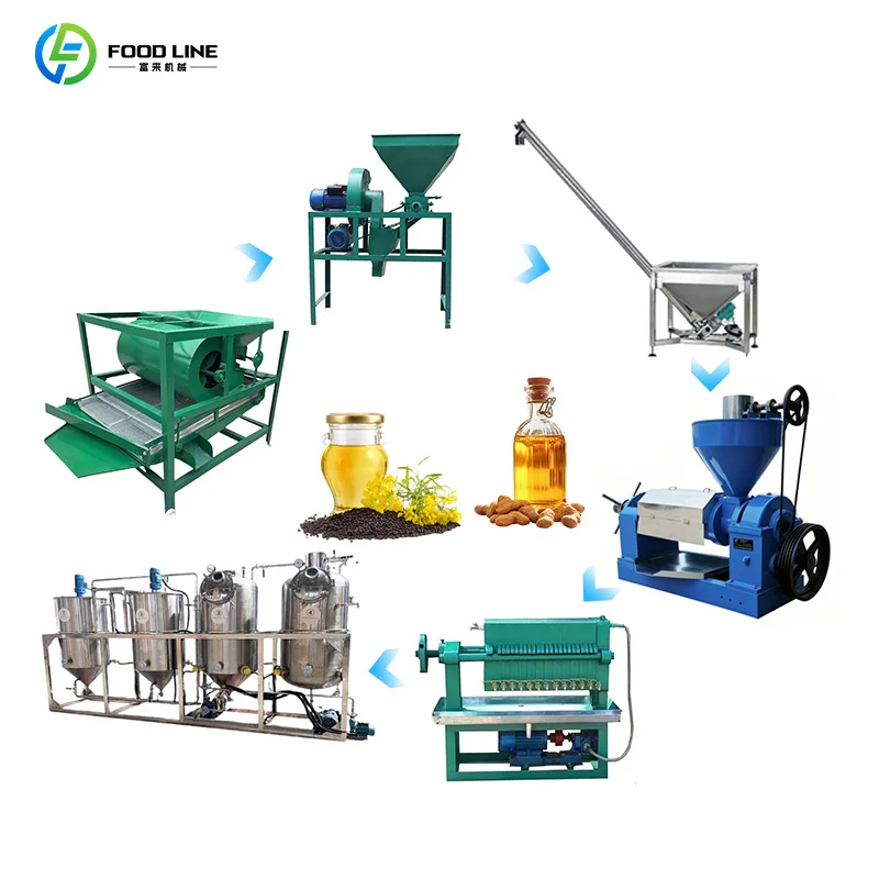 Customized Professional Olive Seed Oil Press Machine Edible Vegetable Oil Extraction Equipment