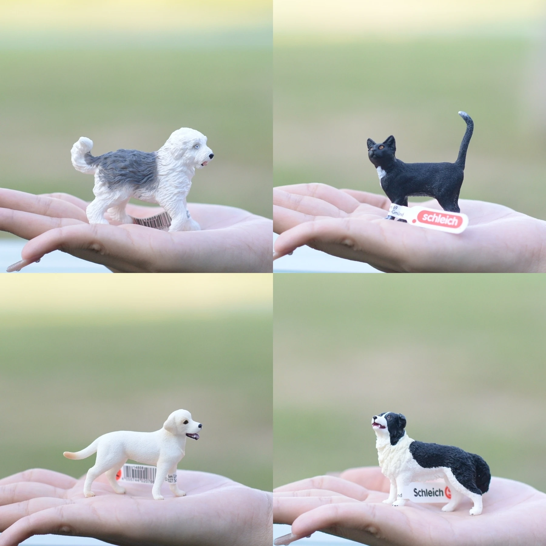 Modelos de Brinquedo Schleich: Pequenos Cães de Estimação (Sheepdog, Husky, Shiba Inu, Akita, Golden Retriever) - Bonecos Estáticos de Animais para Crianças e Colecionadores