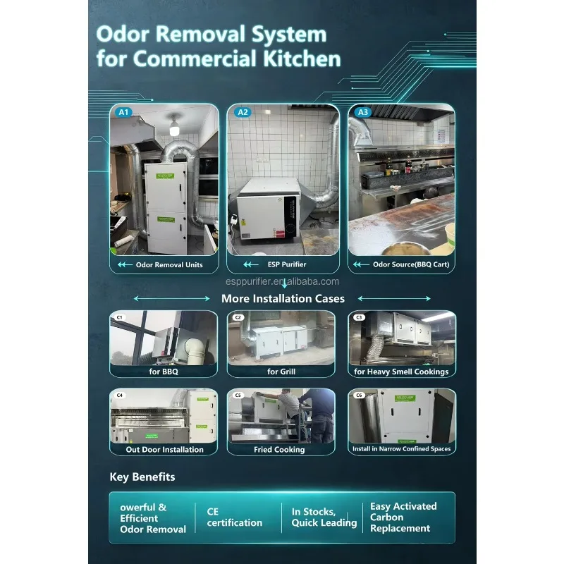 Airo Smoke Odor Remover Heavy Duty Smoke Odor Purifier Factory SOUNINY OEM Integrated Dust Remover Barbecue Machine