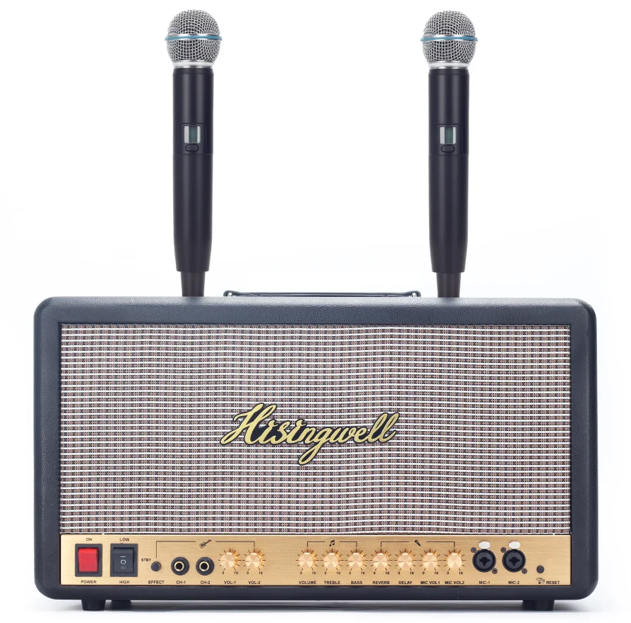 XTUGA MS06 High Quality Guitar Amplifier Combo Professional Musical Instrument Power Amplifier with 2 Handheld Microphones