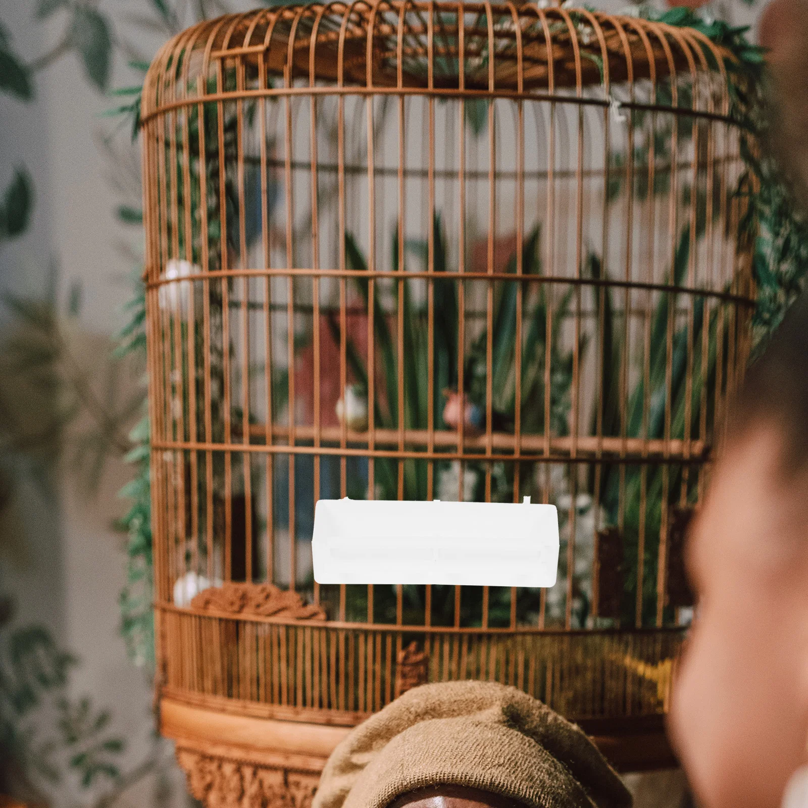 

Parrot Feeding Box，Bird Feeding Case，Birds Feeding Box Box for Parrot Box for Birds