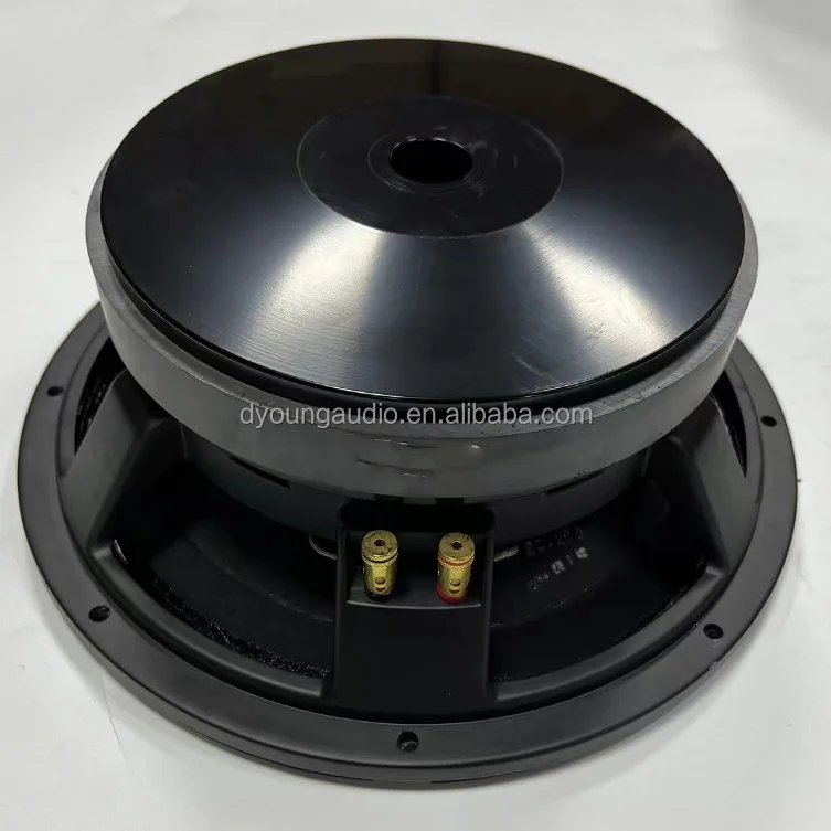 12 Inch Mid Bass 220 Mm Magnet 100 Mm Coil 1000W High Power Pro Audio Woofer Speaker