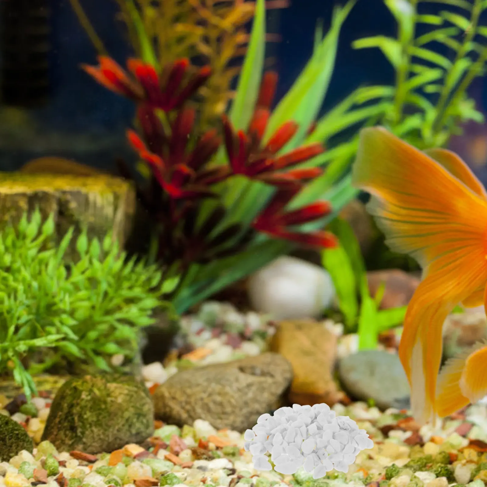 1Set Decorative Stones White Aquarium Gravel Natural Stream Pebbles Fish Tank Landscaping Rocks Garden Pathway Stones