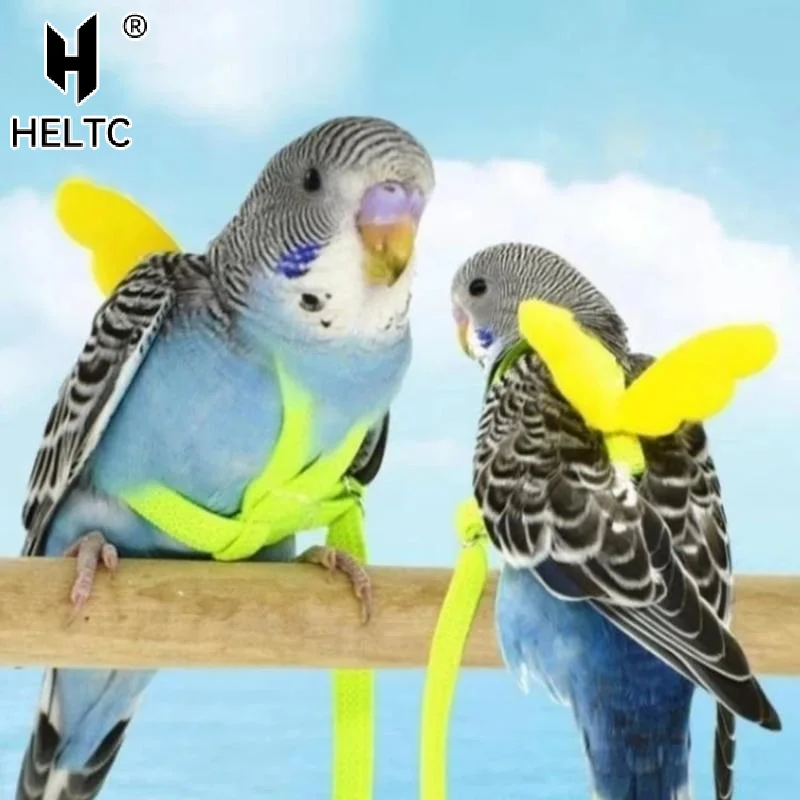 Random Adjustable Parrot Bird Harness Leash Set Anti-bite Training Harness Parrots Outdoor Flying Rope