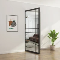Wholesale Steel Frame Door with Tempered Glass Interior Double Pivot Doors 3