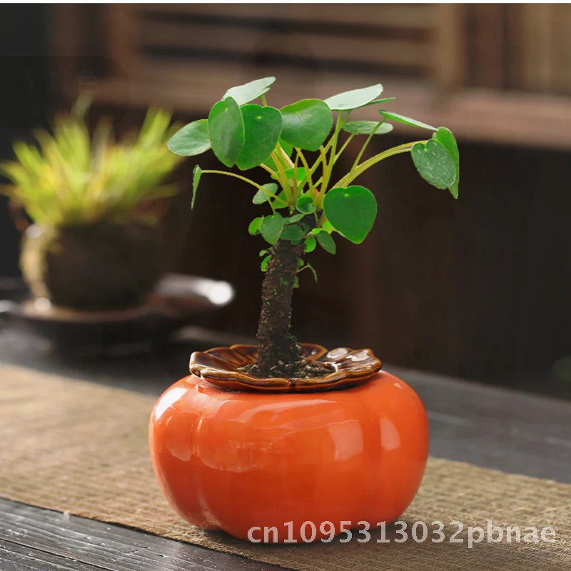 

Creative Ceramic Persimmon Flowerpot Handmade Orange Green Rose Plant Potted Decoration for Living Room Desktop Desk