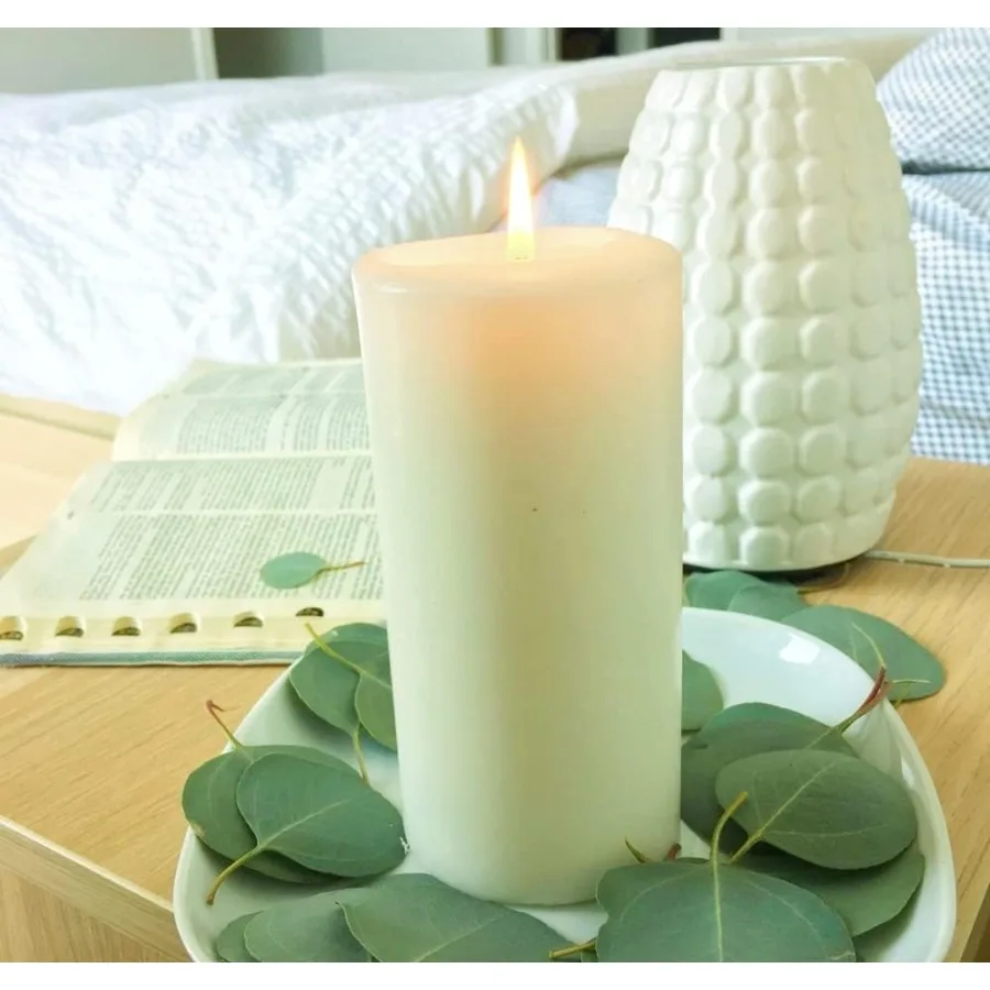 300 + قطعة أوراق الأوكالبتوس الحقيقية المجففة ريفي بوهو الزفاف ديكور للطاولات 100% الطبيعية المحفوظة الفضة الدولار الأوكالبتوس ديكور Gre #6