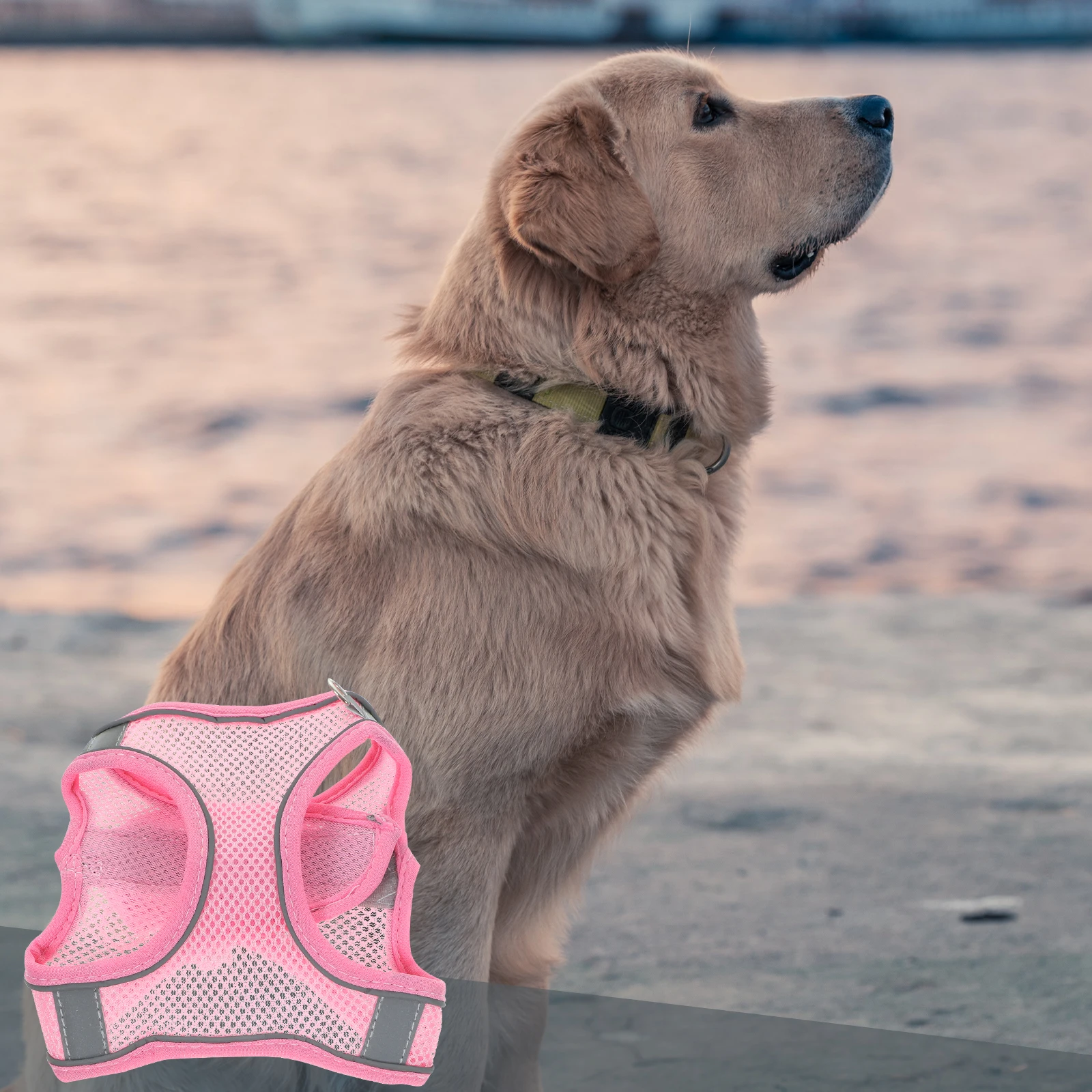 

Pet Reflective Strap Small Harness for Little Dogs Xxs Puppy Training Harnesses