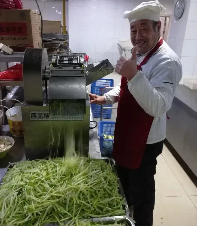 Vegetable Cutter Commercial Multi-functional Sweet potato Ginger Hawthorn Electric Slicer Cheese Shredder Dicer Radish Slitter