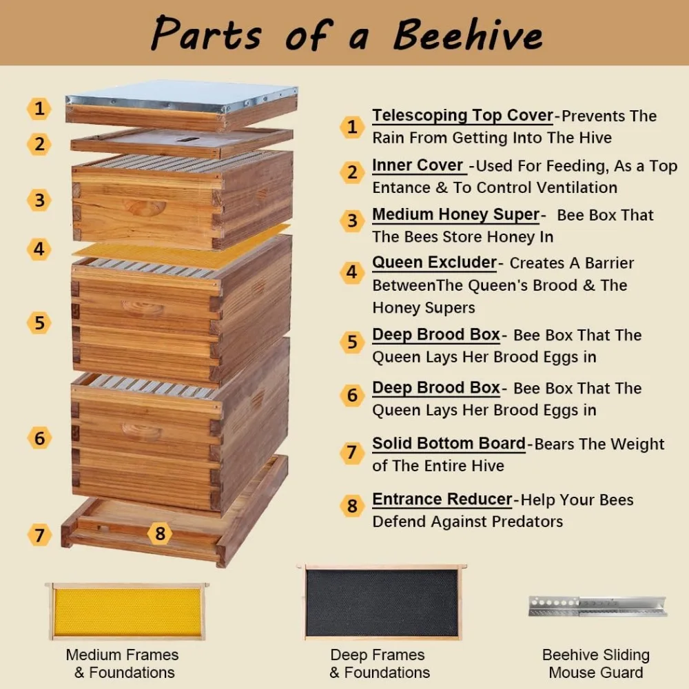 10 Frame Langstroth Bee Hive Coated with 100% Beeswax includes Beehive Frames and Waxed Foundations