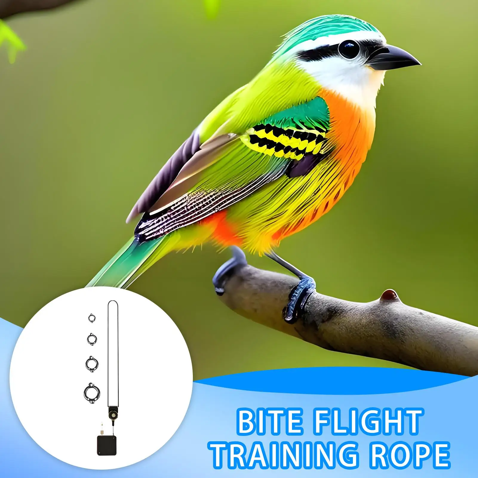 Parrot Foot Rope Metal Auto-Retractable Parrot Leg Chain For Flying Training Chewable Bird Ankle Accessories For Conures