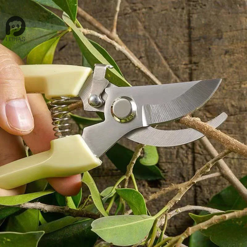 1PC Stainless Steel Scissors Flower Pruning Branch Scissors Gardening Fruit Tree Pruning Shears Garden Branch Shears