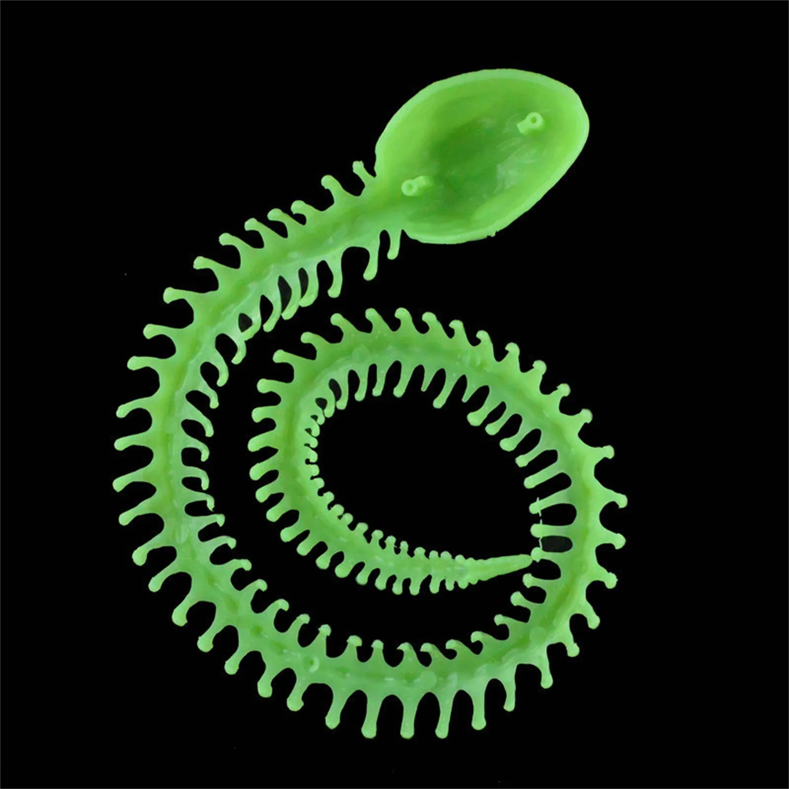 هالوين الهيكل العظمي الدعائم الهيكل العظمي أبو بريص زينة الهالوين زاحف ديكور حزب الدعائم ألعاب 4 أشهر