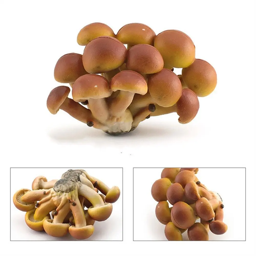 Modelo de vegetales, figuras de hongos, Matsutake Oyste, miniaturas de paisaje, simulación de setas, planta Artificial, modelo de hongos