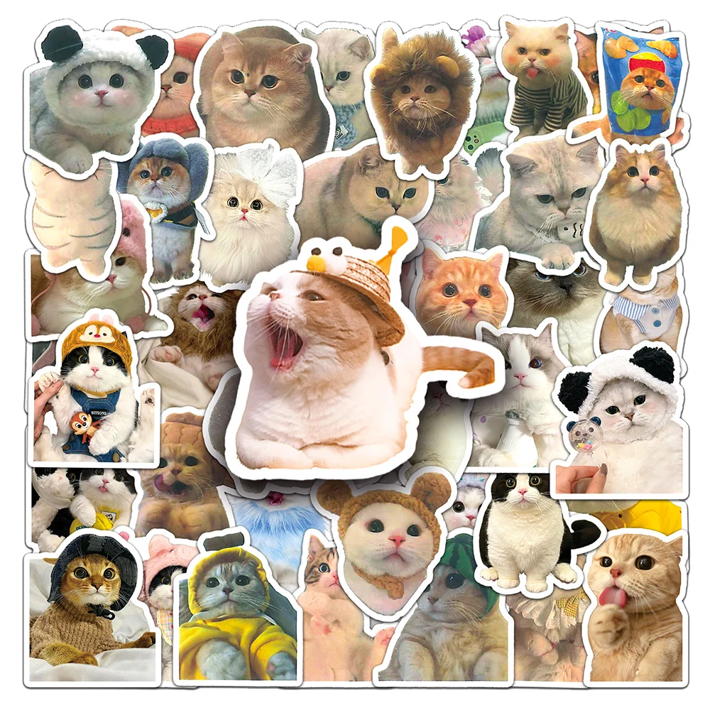 10/30/50/100pcs Funny MEME Cat Stickers Cute Animal Decoration Decals Gift DIY Skateboard Luggage Notebook Waterproof Sticker